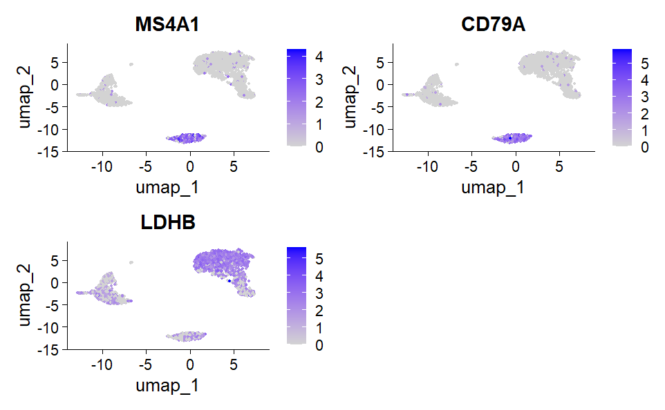 scRNA – marqueurs de clusters