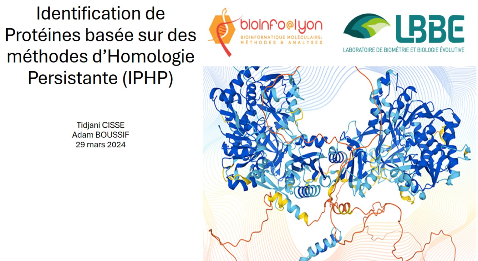 Homologie persistante