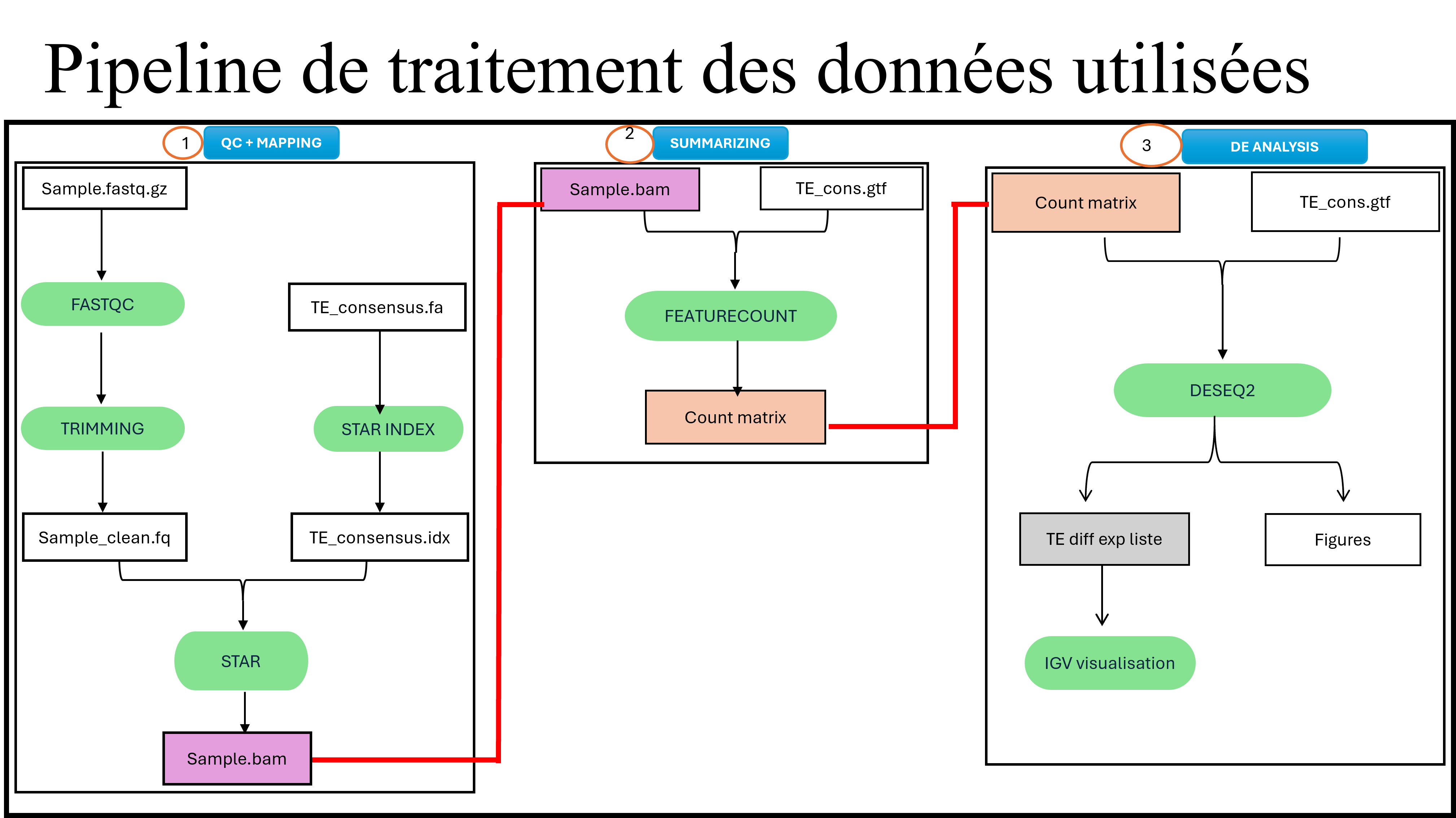 TE et virus IIV6 – aperçu résultats