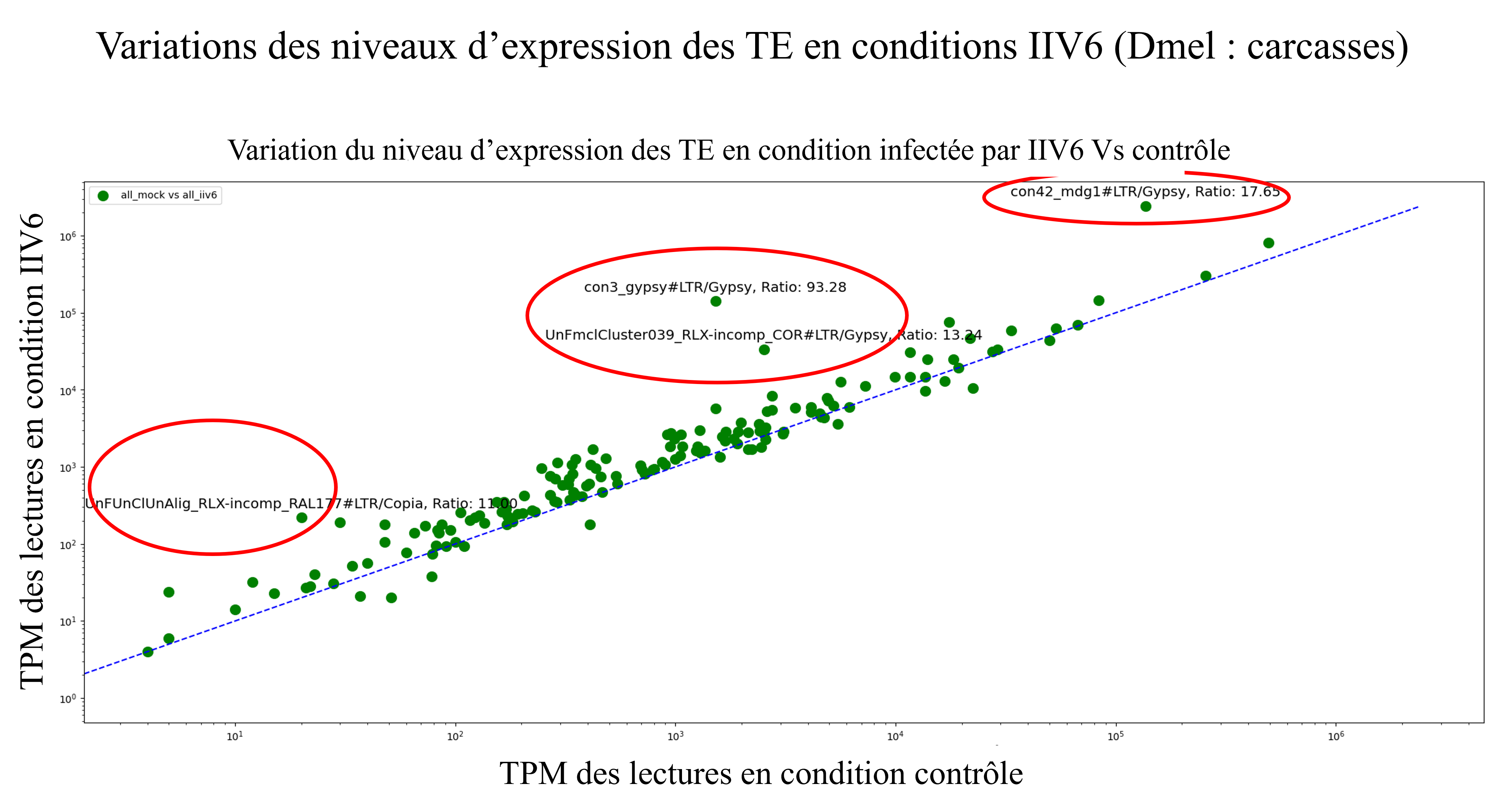 TE et virus IIV6 – visuel 3